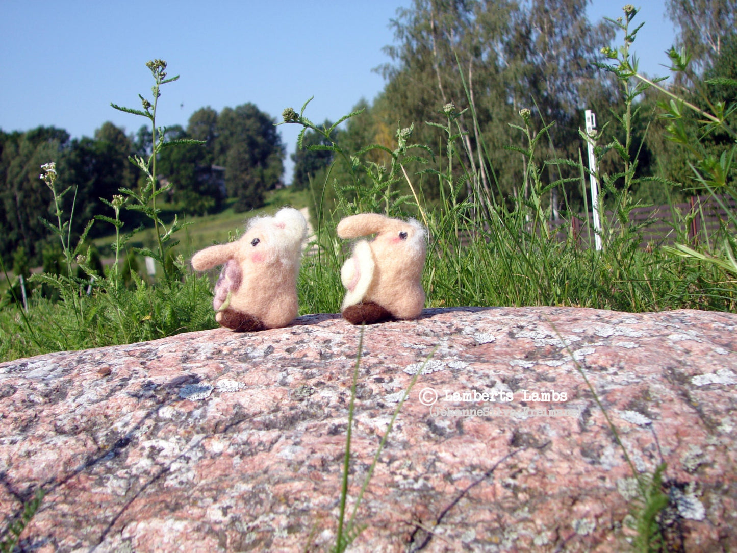 Needle Felted Gnome Nature's Babe